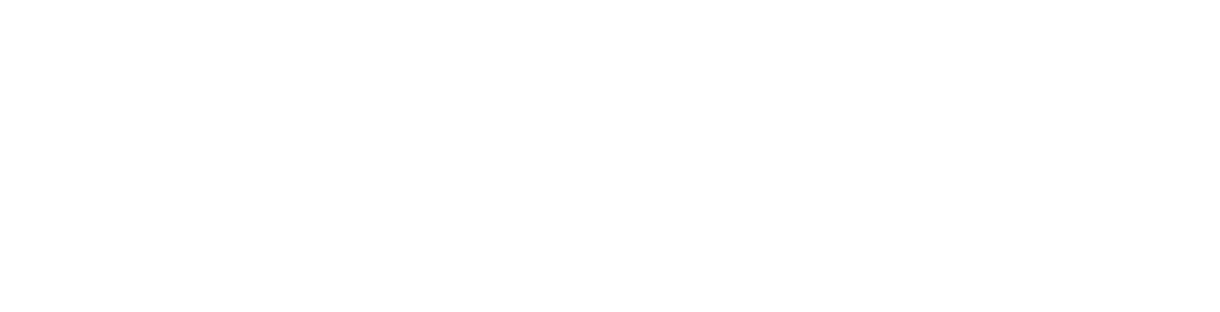 Biz Control One Stop Solution
